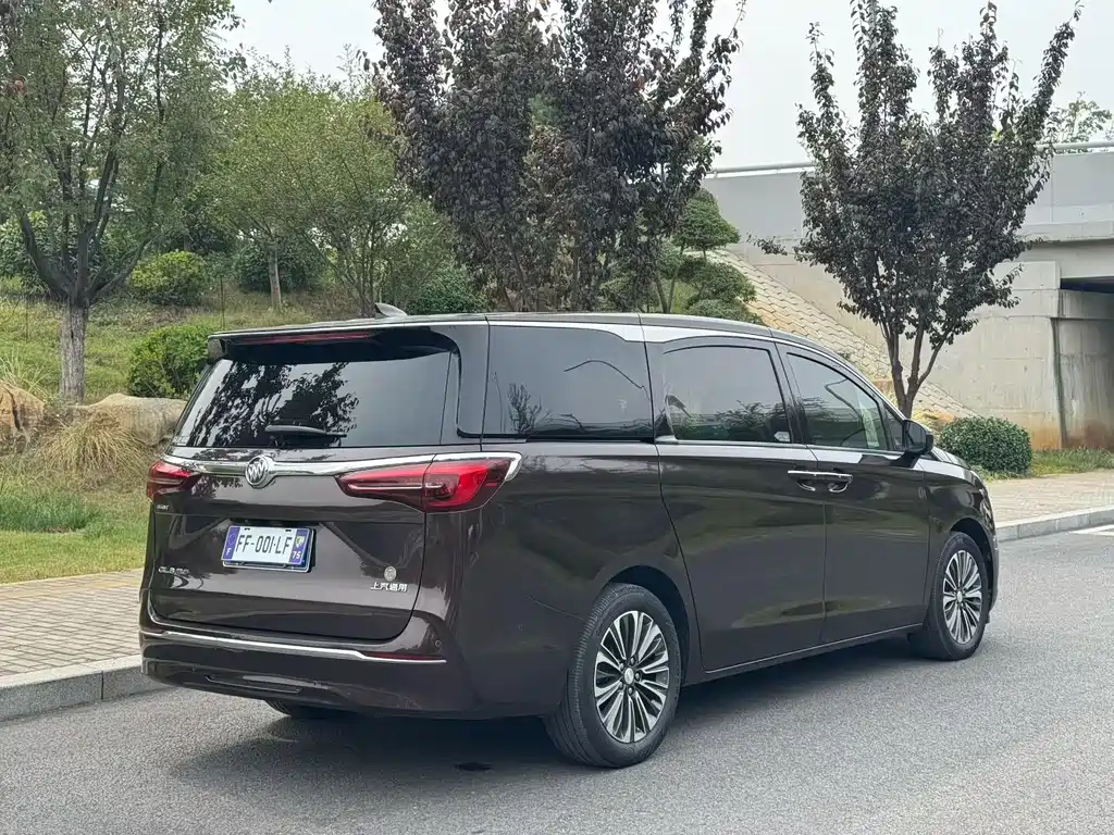 Buick GL8 — миниатюра 9