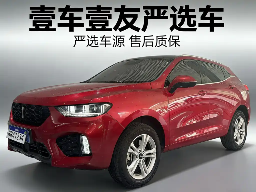 WEI PAI WEI BRAND VV5