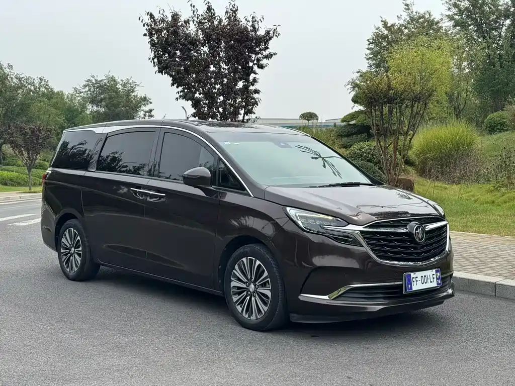 Buick GL8 — миниатюра 3