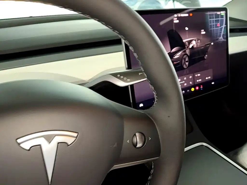 Tesla Model 3 — миниатюра 14