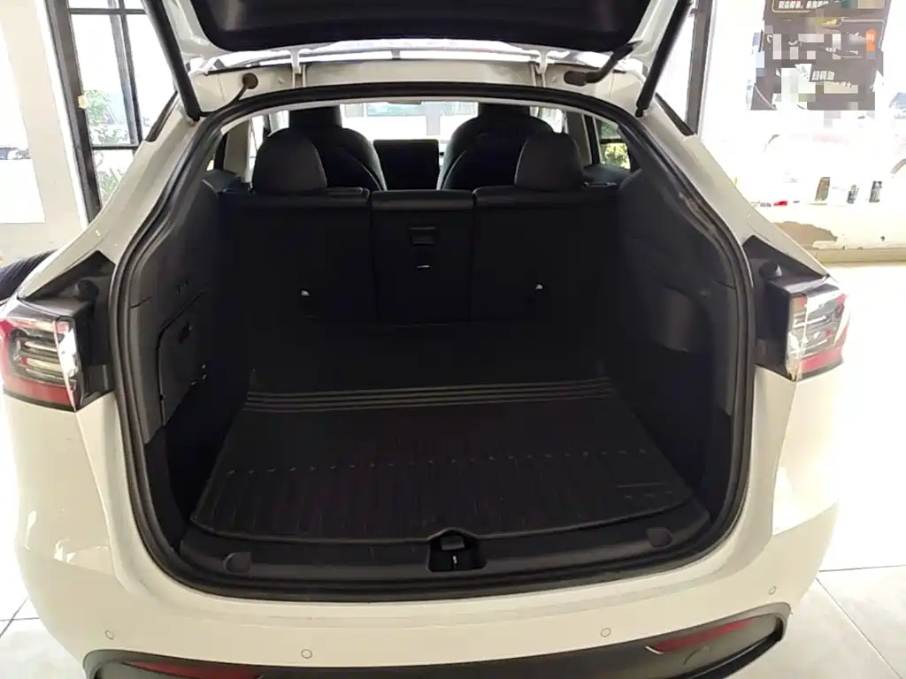 Tesla Model Y — миниатюра 19