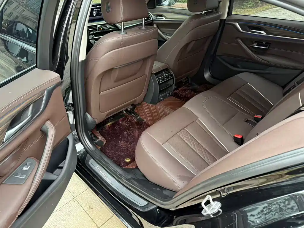 BMW 5 SERIES NEW ENERGY