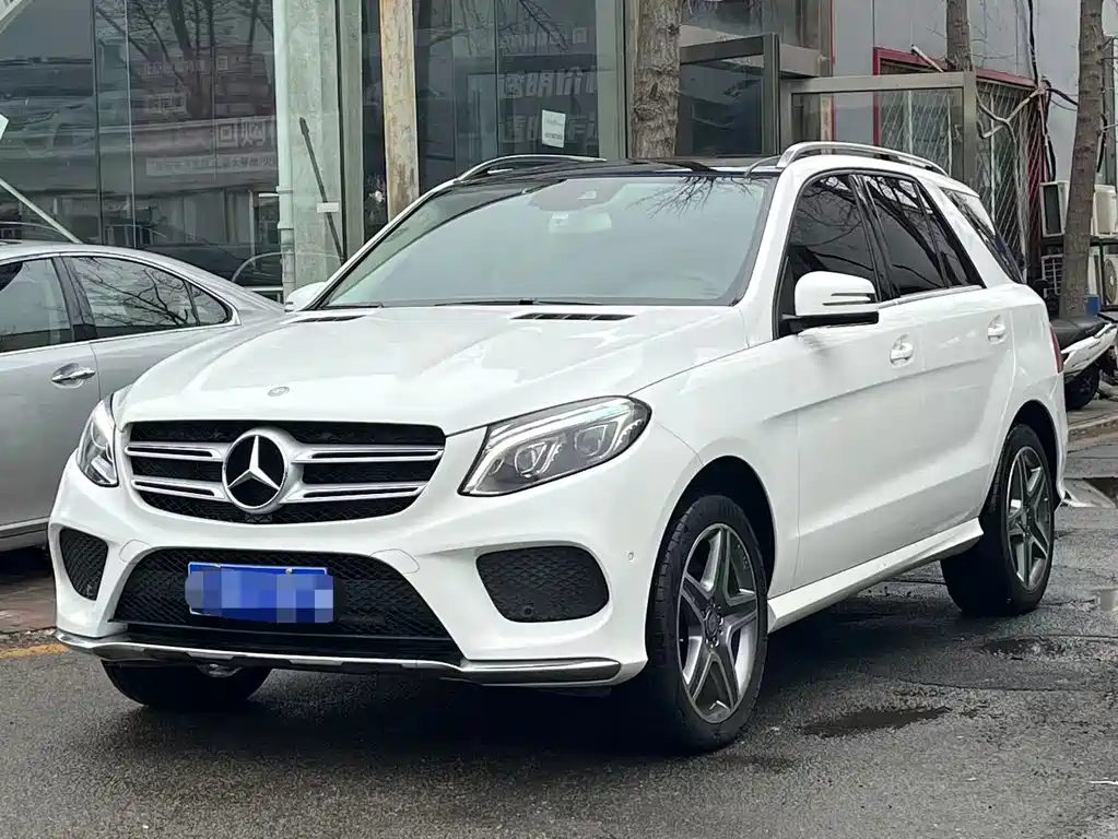 Mercedes-Benz 奔驰GLE(进口) 2016