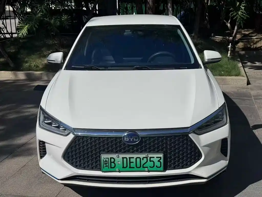 BYD E2