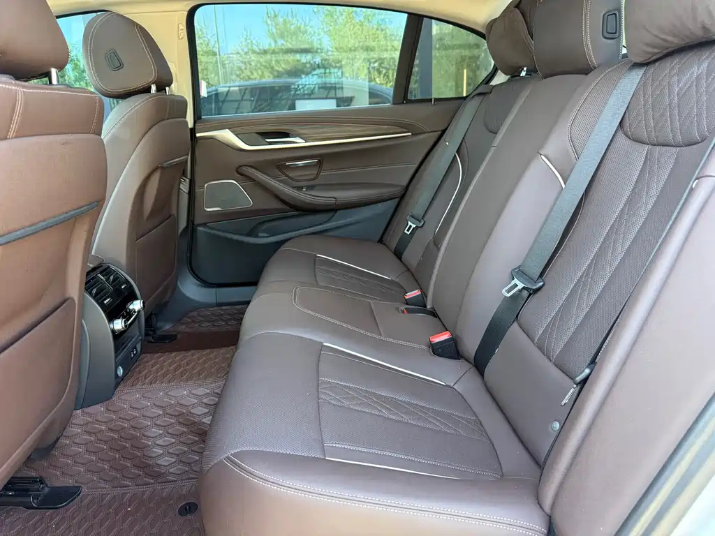 BMW 5 Series 5 2022 530Li Lead Luxury