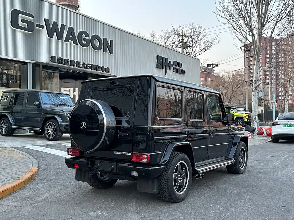 Mercedes-Benz G-Class A MG G AMG 2009 AMG G 55