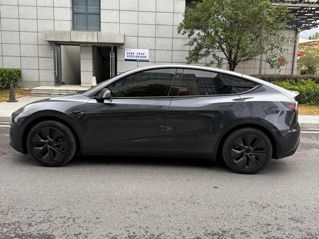 Tesla Model Y — миниатюра 10