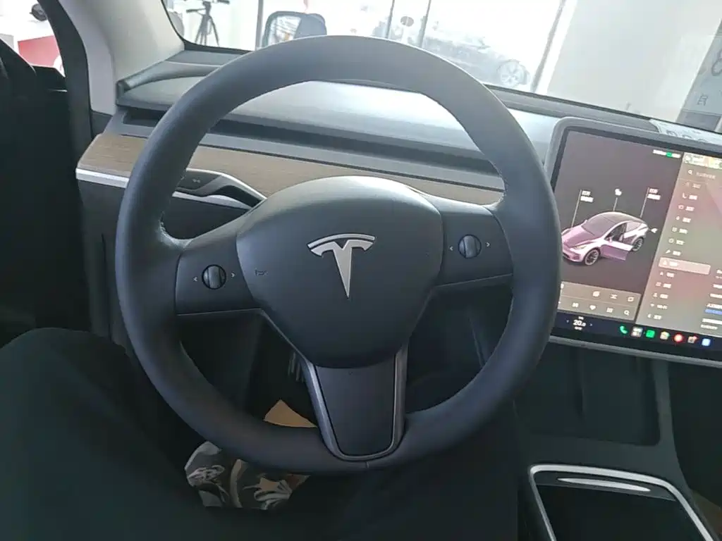 Tesla Model Y — миниатюра 11