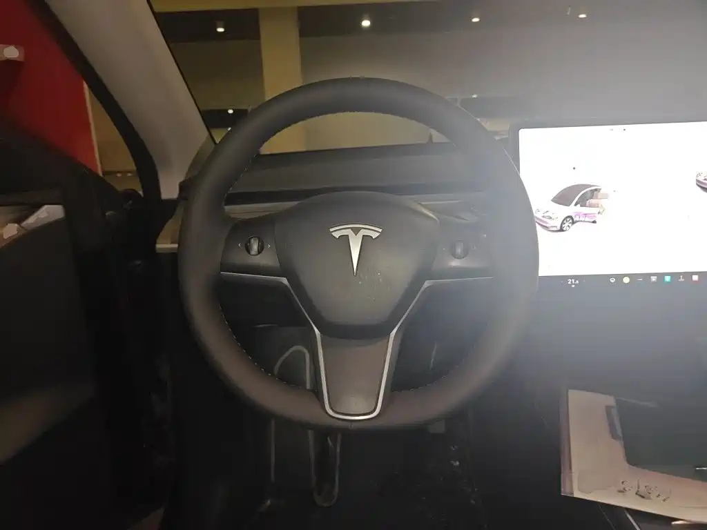Tesla Model Y — миниатюра 6