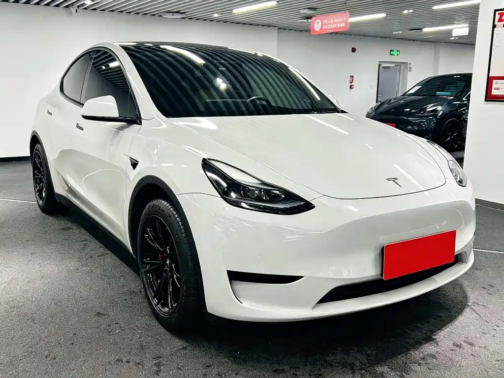 Tesla Model Y — миниатюра 3