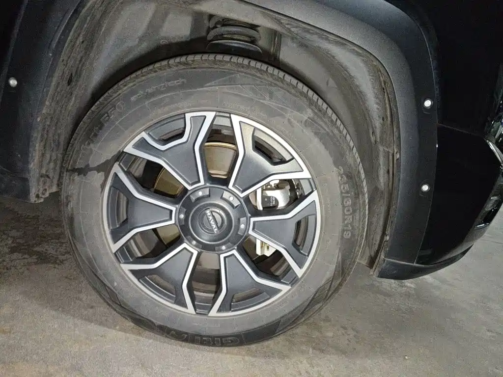 Haval Big Dog PLUS New Energy — миниатюра 9