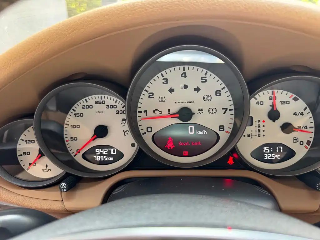 Porsche 911 — миниатюра 13