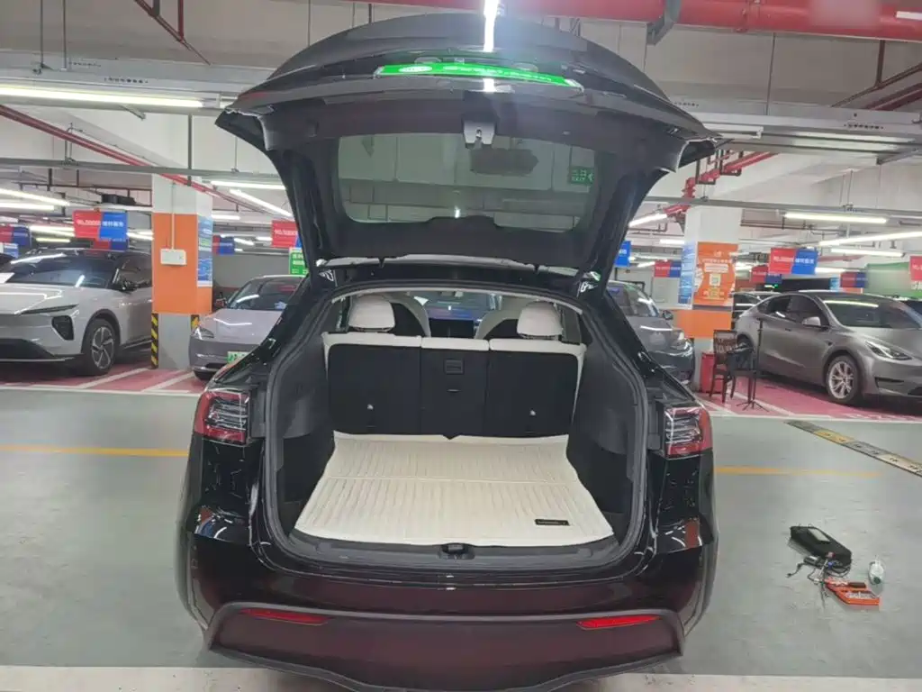 Tesla Model Y — миниатюра 19