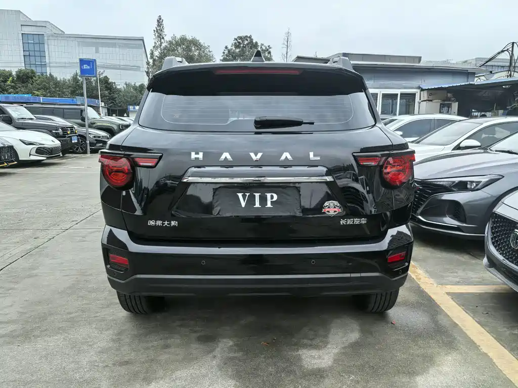 Haval Big Dog PLUS — миниатюра 13