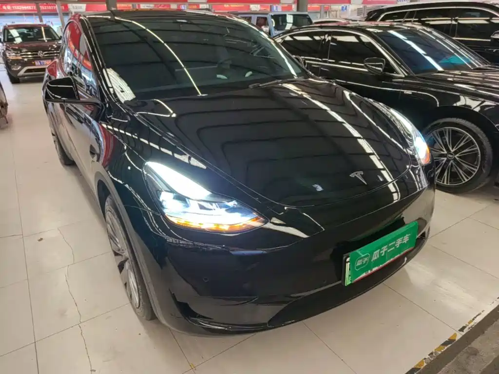 Tesla Model Y — миниатюра 4
