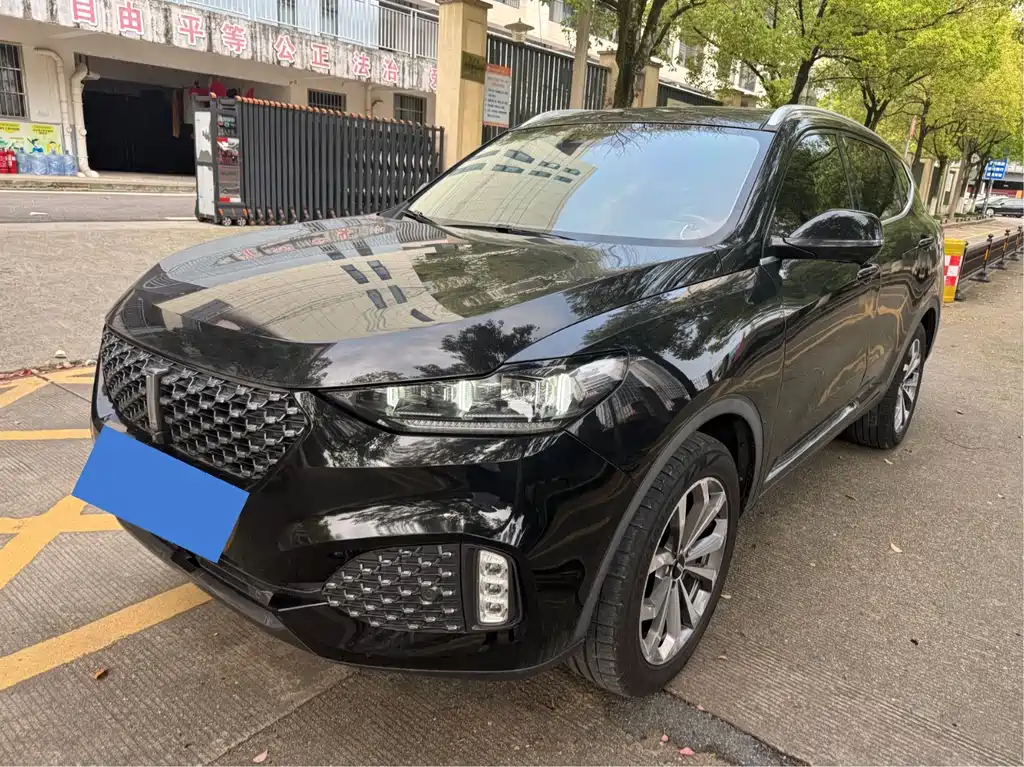 Wey Wey VV6 2019