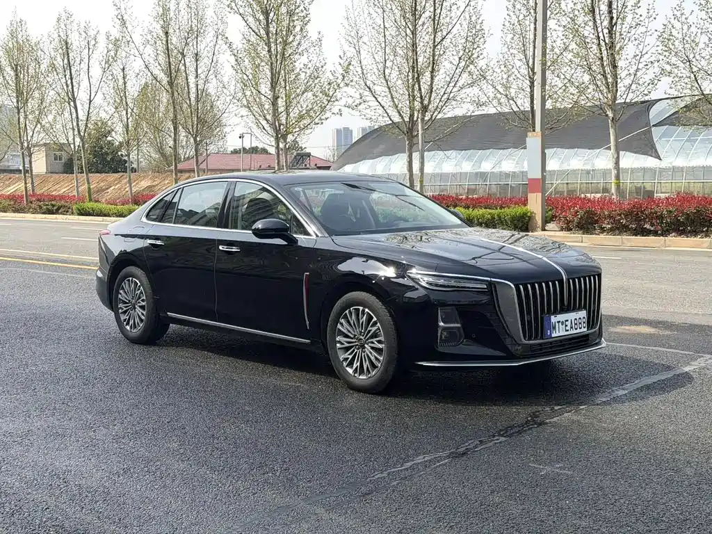 Hongqi Hongqi H5 2024