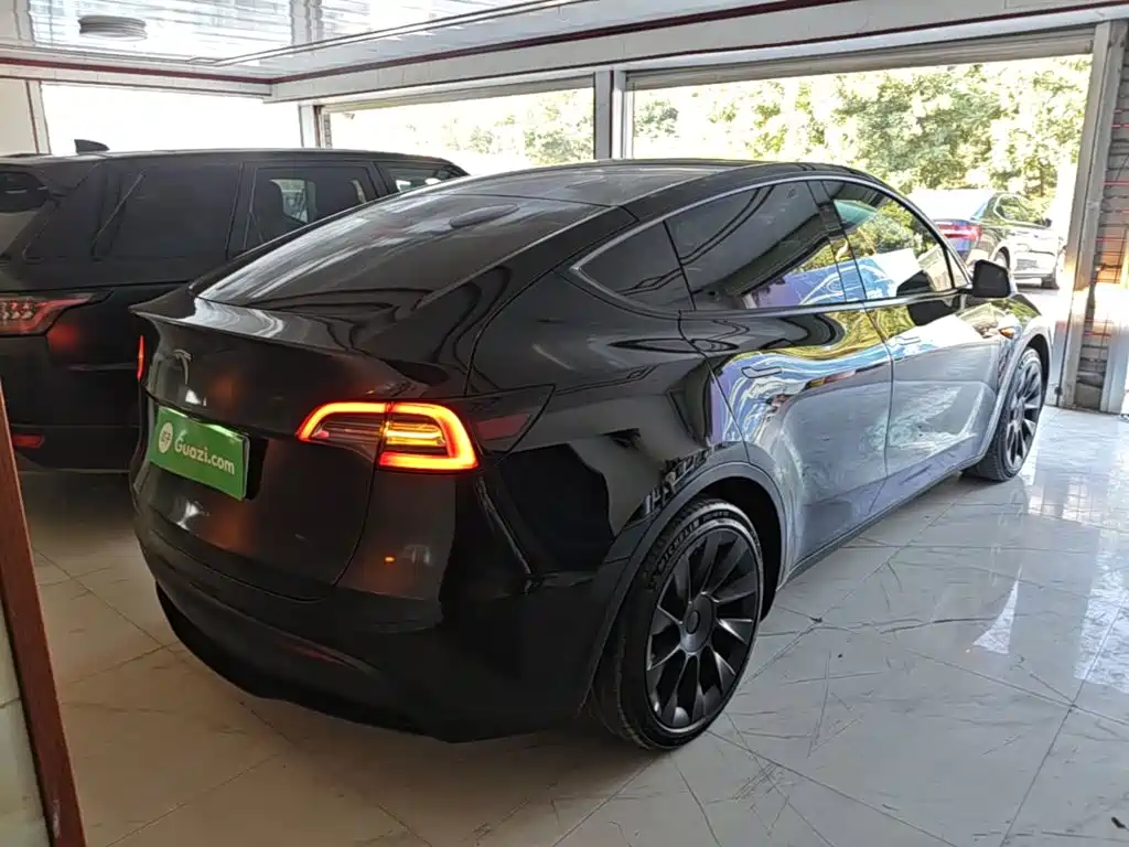 Tesla Model Y — миниатюра 6
