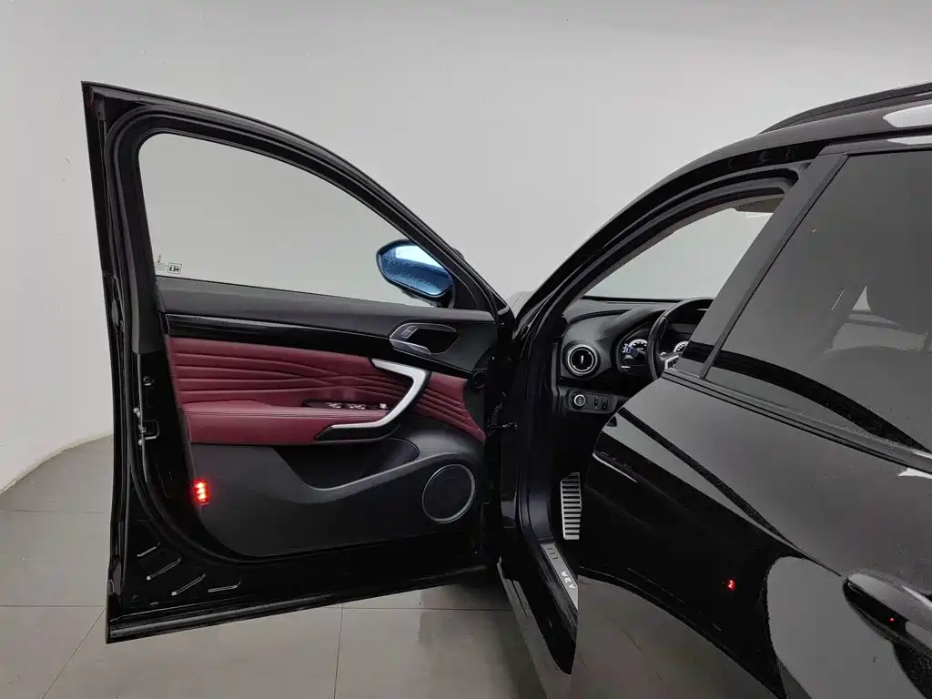 Wey Wey P8 — миниатюра 8