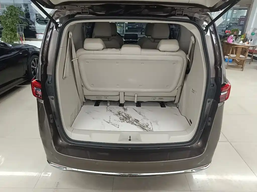 Buick GL8 — миниатюра 19