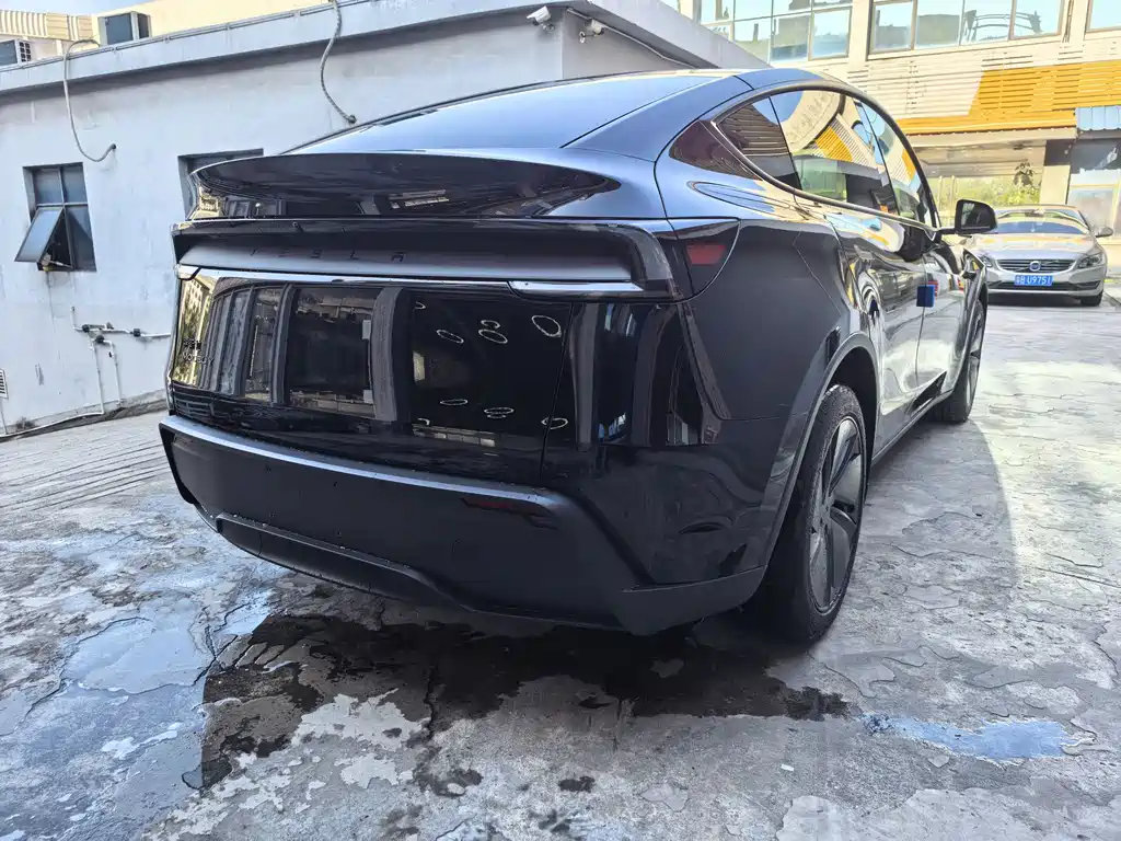 Tesla Model Y — миниатюра 4
