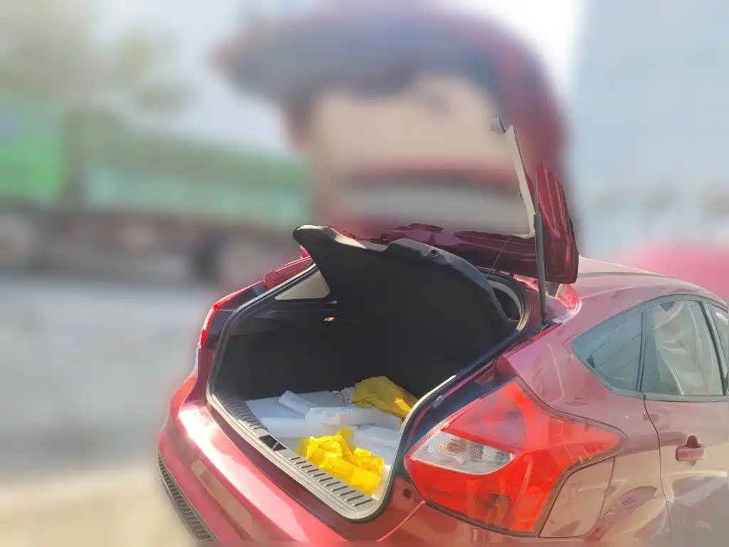 Ford Focus — миниатюра 10