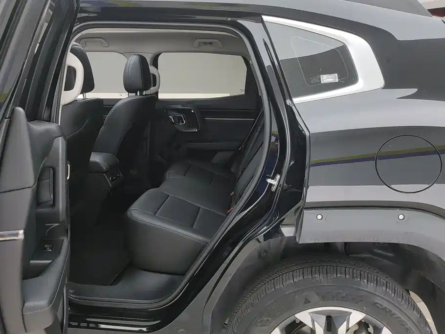 Haval Haval Big Dog PLUS — миниатюра 11