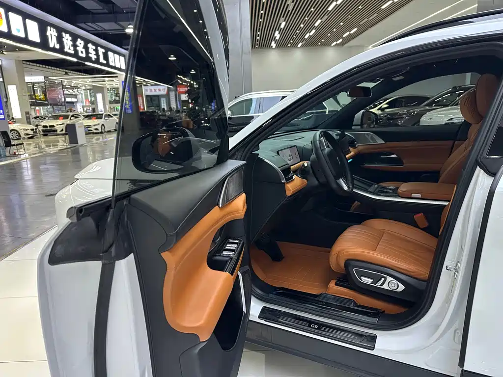 XPeng G9 — миниатюра 6