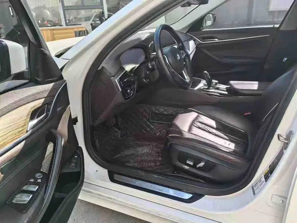 BMW 5 SERIES NEW ENERGY