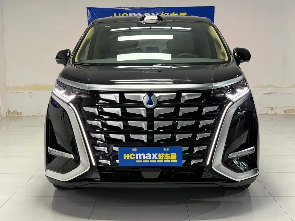 Denza Denza D9 — миниатюра 2