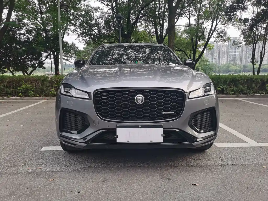 Jaguar F-PACE — миниатюра 2