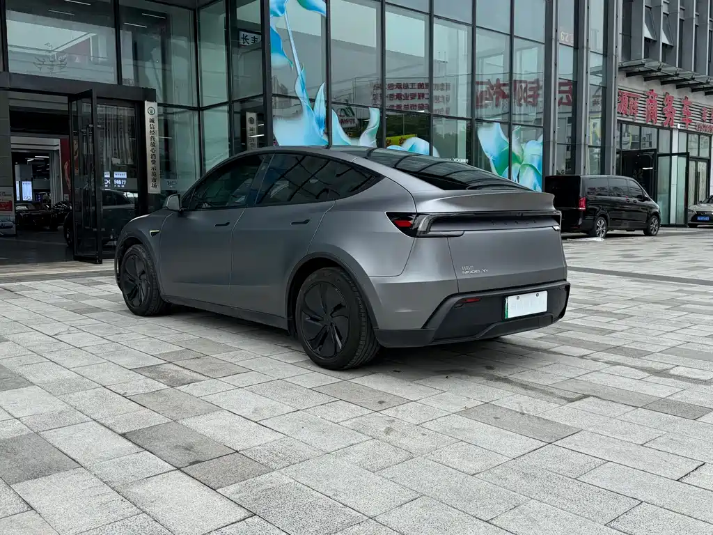 Tesla Model Y — миниатюра 6