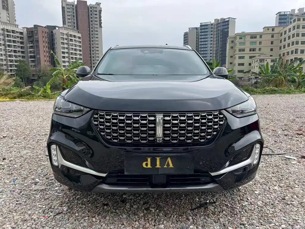 WEI PAI WEI BRAND VV6