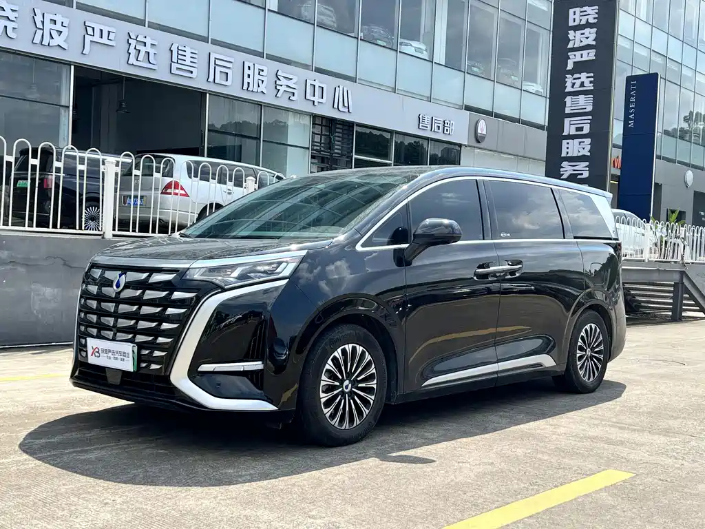 Denza Denza D9