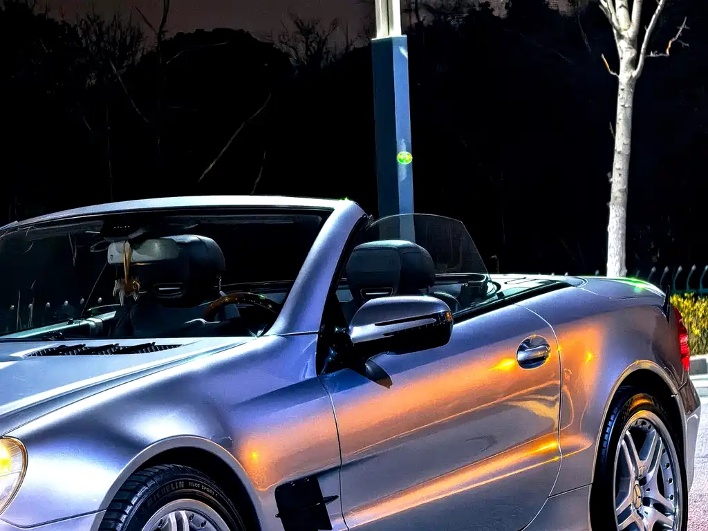 Mercedes-Benz SL 2010 SL 300