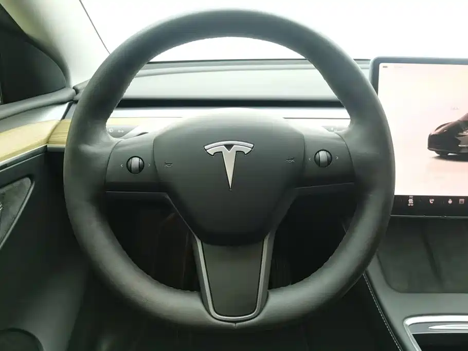 Tesla Model Y — миниатюра 15