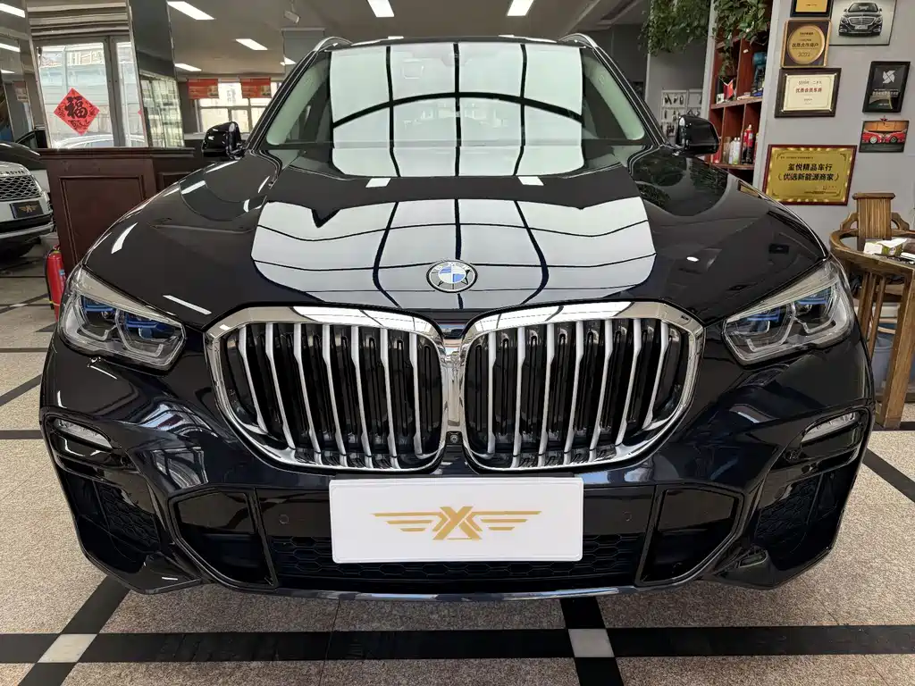 BMW X5 (Import) — миниатюра 2