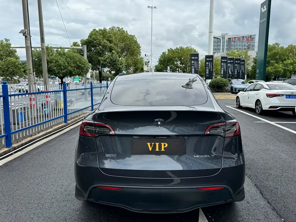 Tesla Model Y — миниатюра 5
