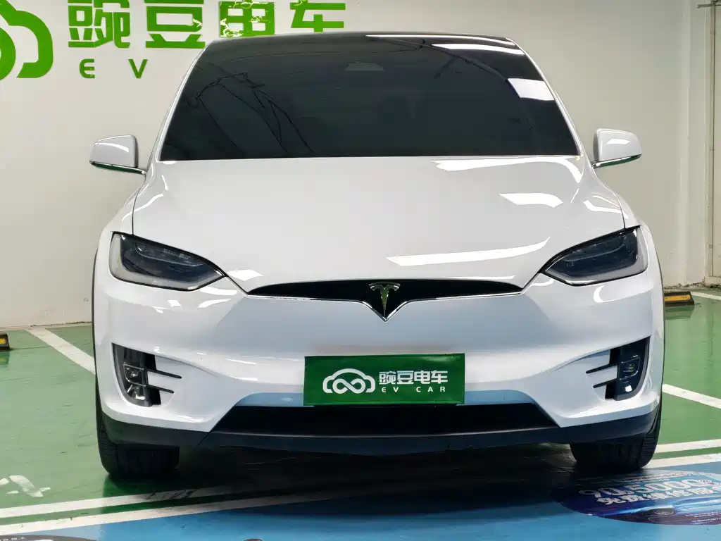 Tesla Model X — миниатюра 4