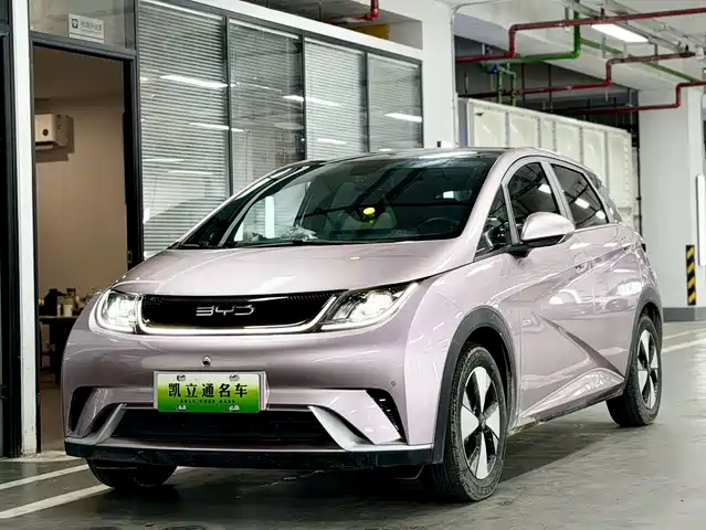 2023 BYD Dolphin