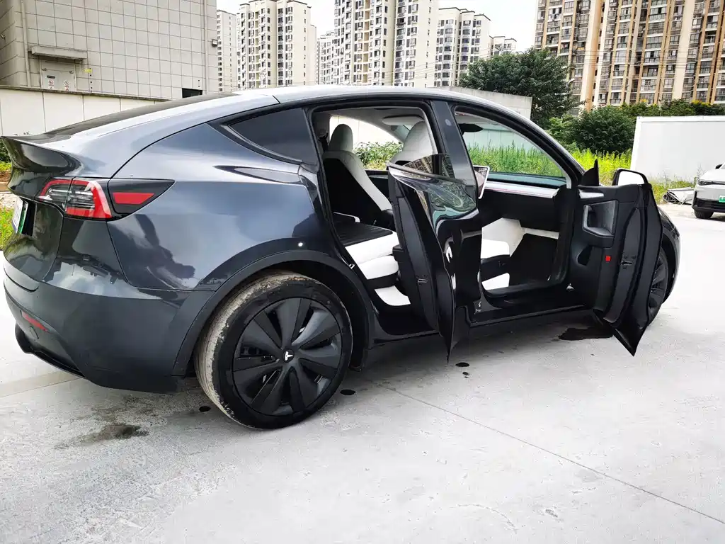 Tesla Model Y — миниатюра 17