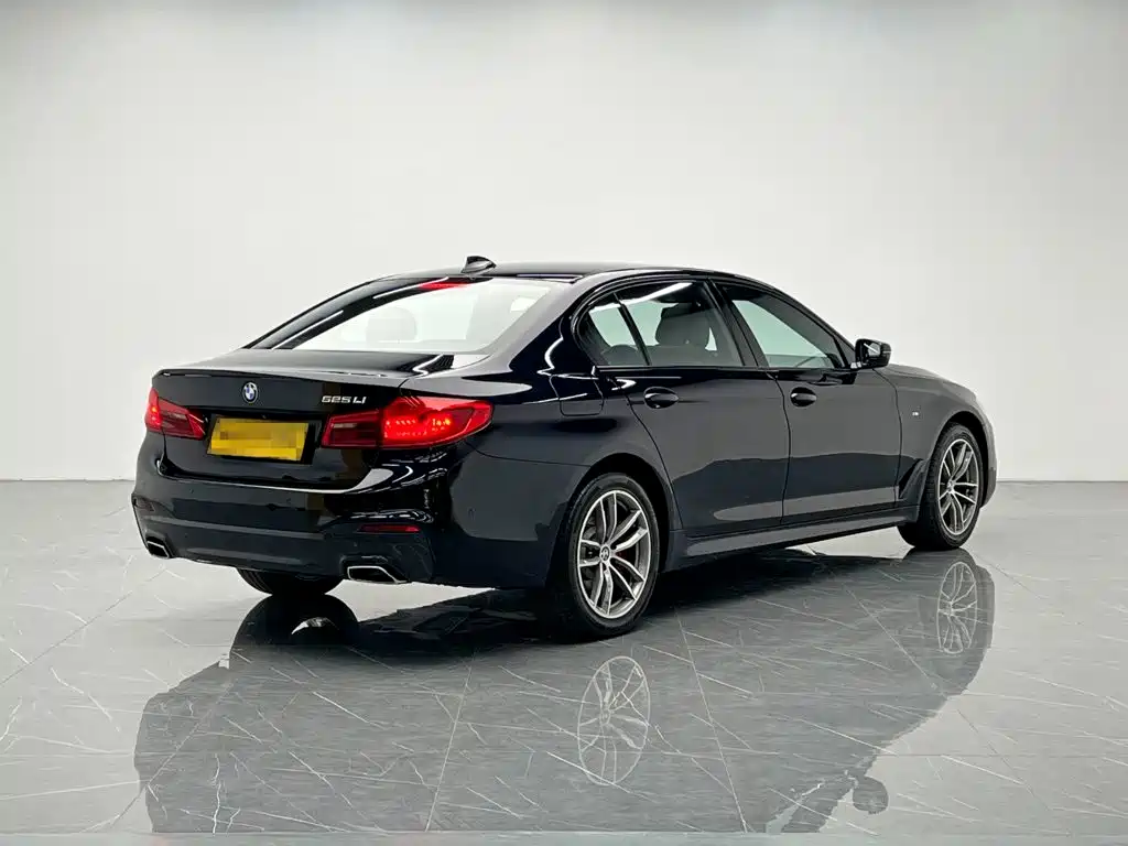 BMW 5 Series — миниатюра 6