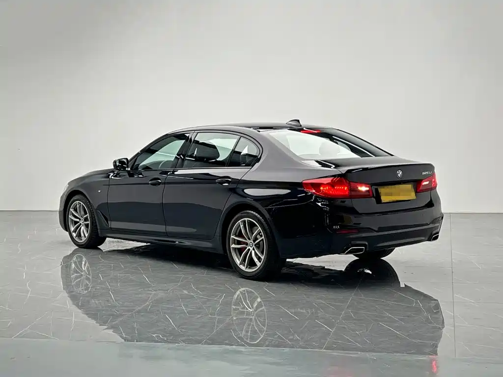 BMW 5 Series — миниатюра 4