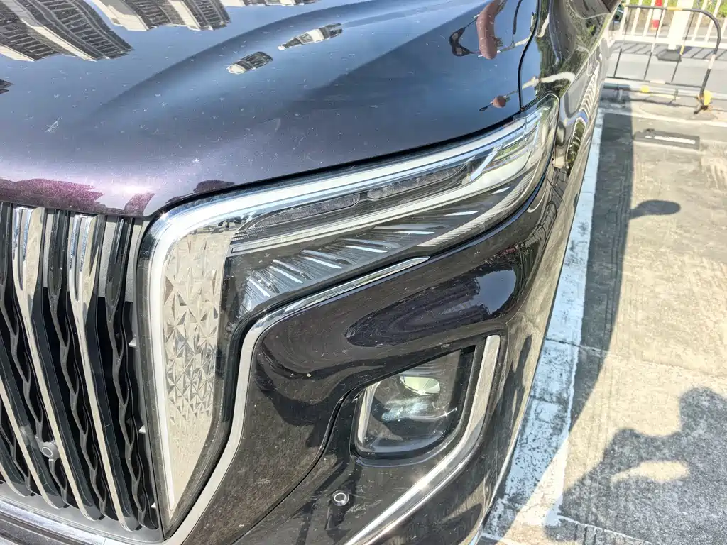 Hongqi Hongqi HQ9 — миниатюра 13