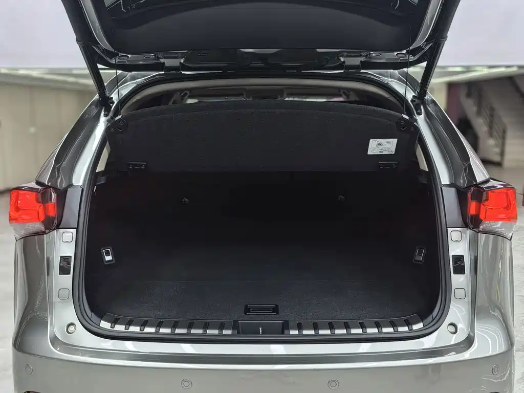 Lexus NX — миниатюра 31
