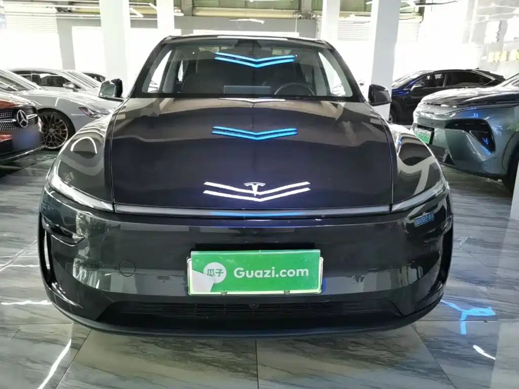 Tesla Model Y — миниатюра 3