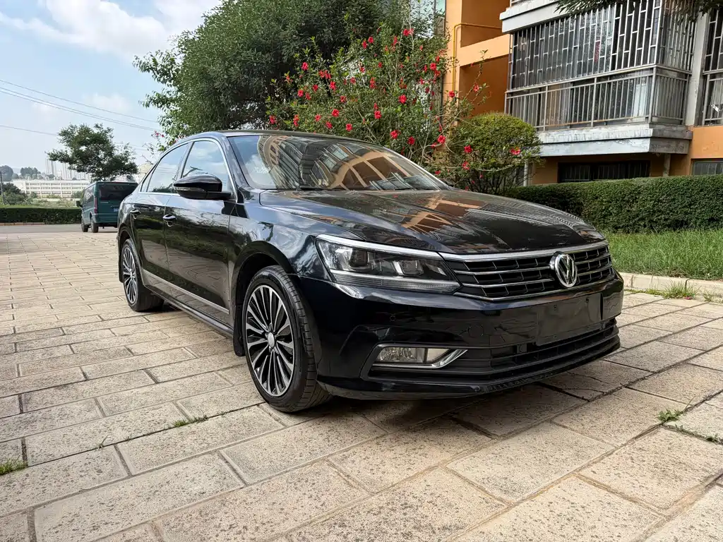 Volkswagen Passat — миниатюра 3