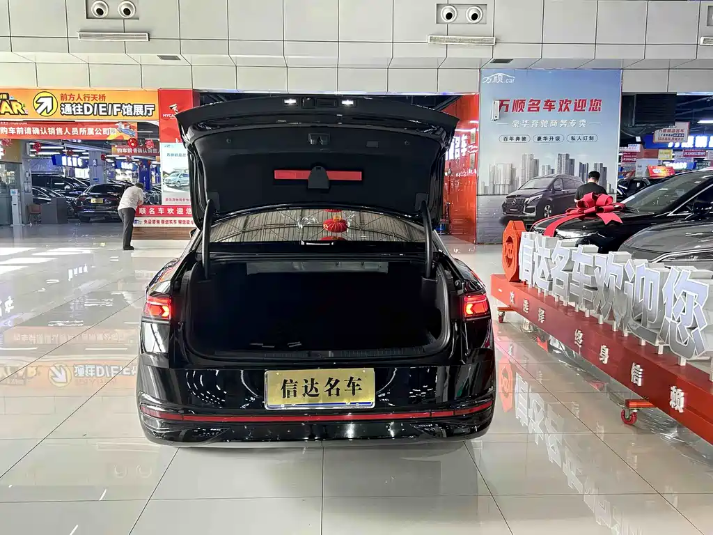 Volkswagen Magotan 2024 300TSI DSG Premium