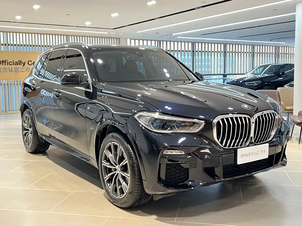 BMW X5 (Import) — миниатюра 2