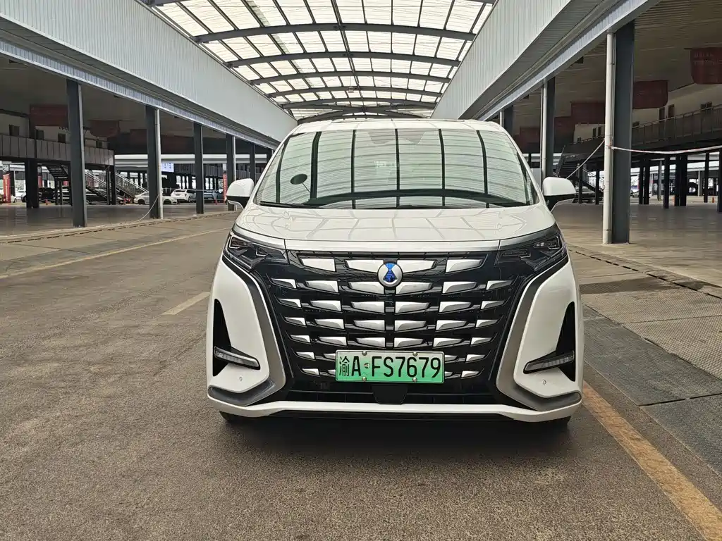Denza Denza D9 — миниатюра 2